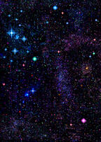 The Omniverse
